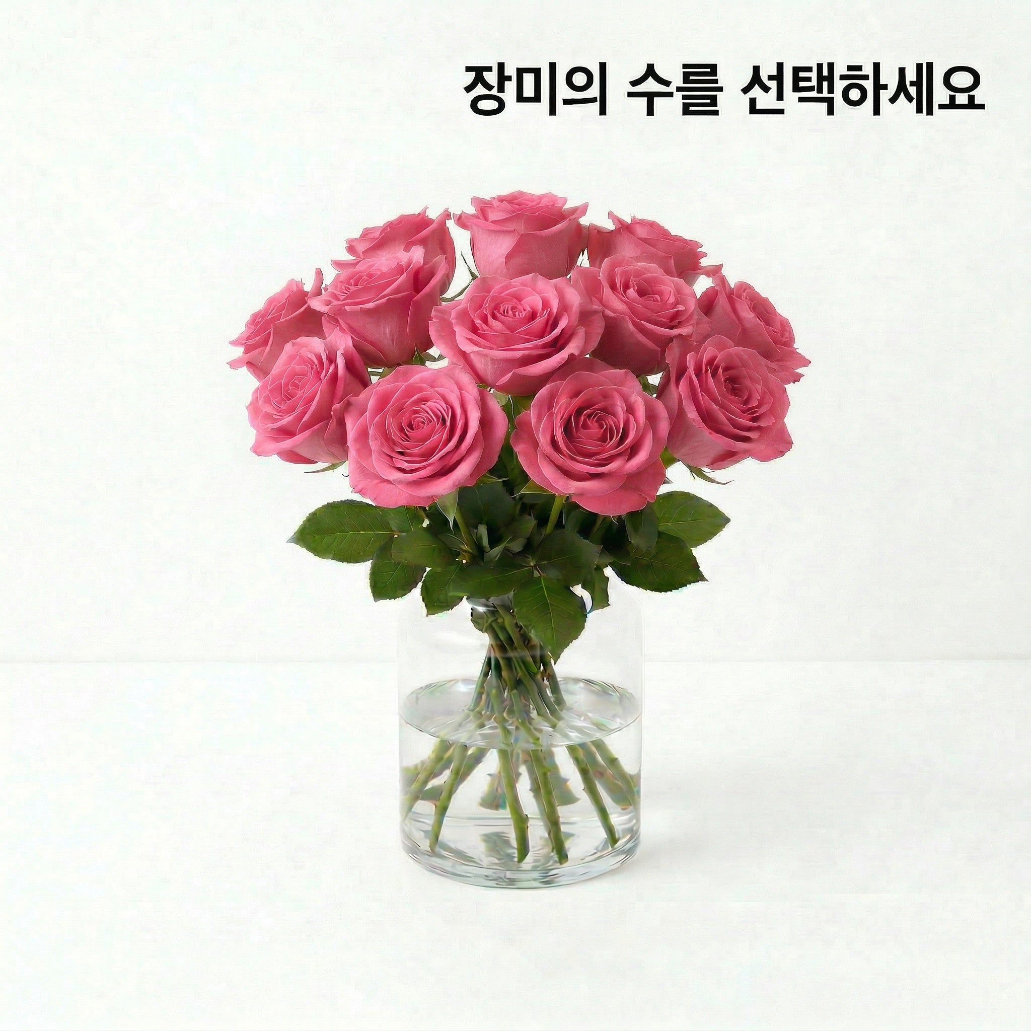 핑크 로즈 인디비주얼 - 택배꽃